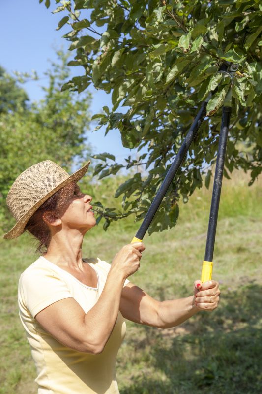 Orchard Tree Pruning